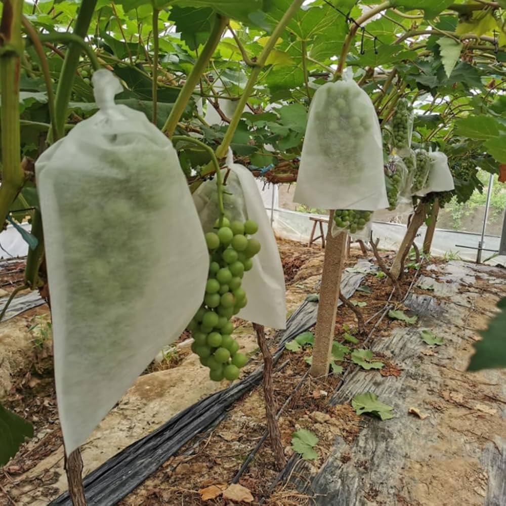 Fruit Bags